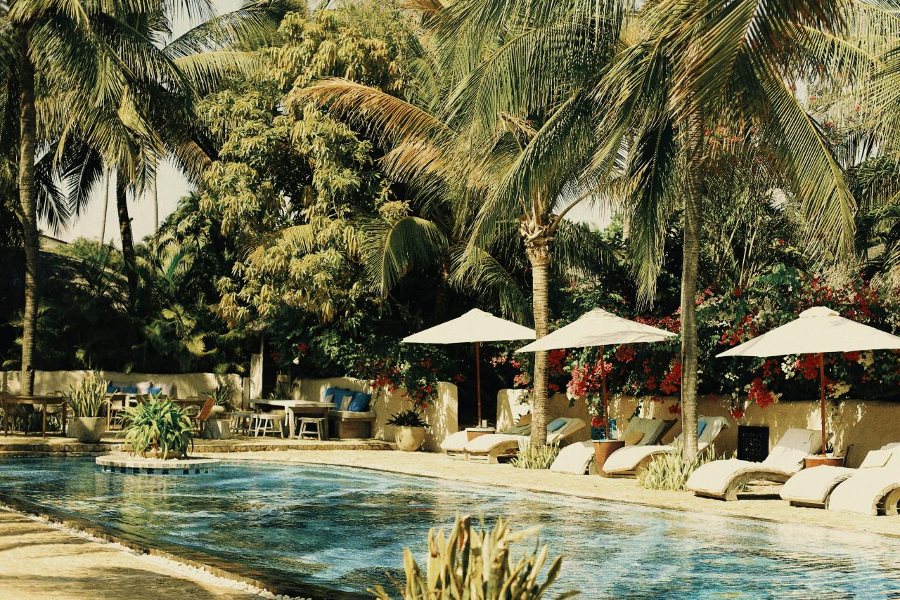 Science Based Wellness Escapes for Ultimate Health